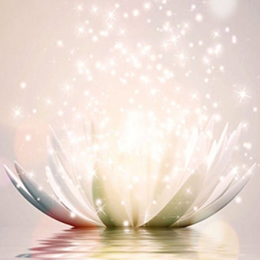 Eclore Accompagnement Collectif Vallet